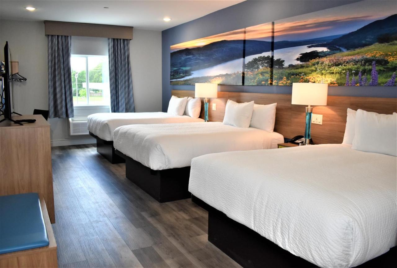 Days Inn & Suites By Wyndham Downtown/University Of Houston Kültér fotó
